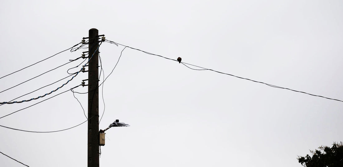 What Is Banksy’s Chinese Name