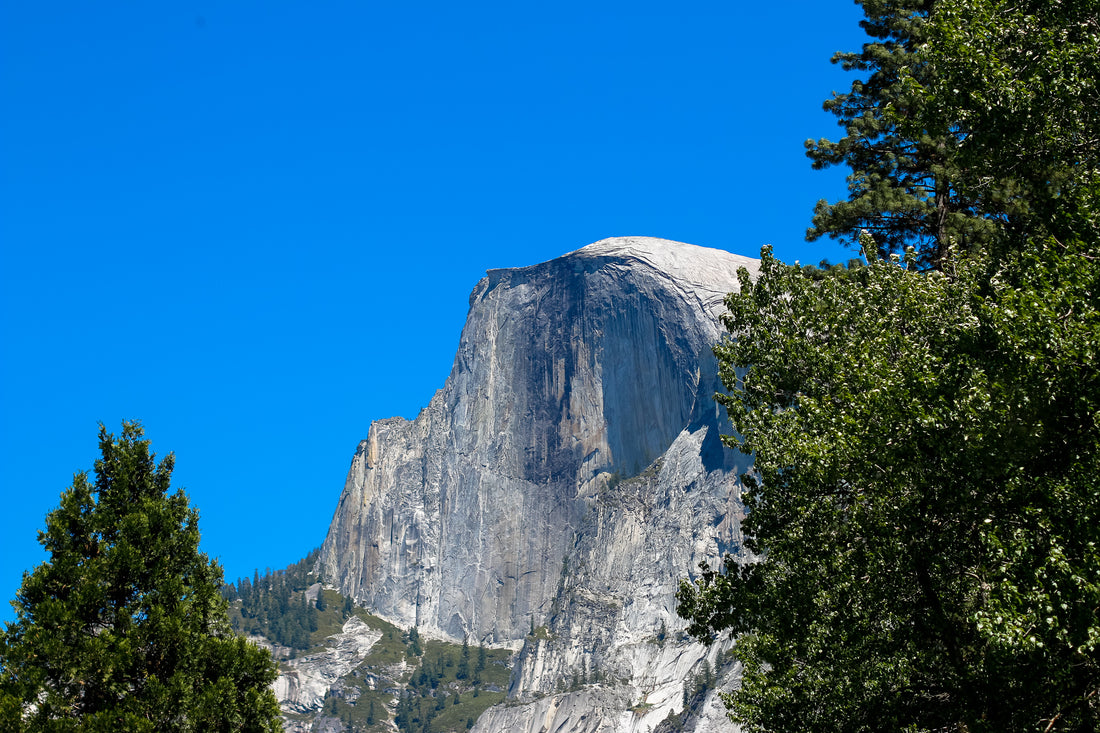 Your Name, Your Legacy: Take Control Before It’s Too Late