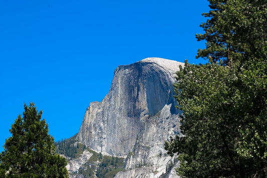 Good Characters Info Deck 2026